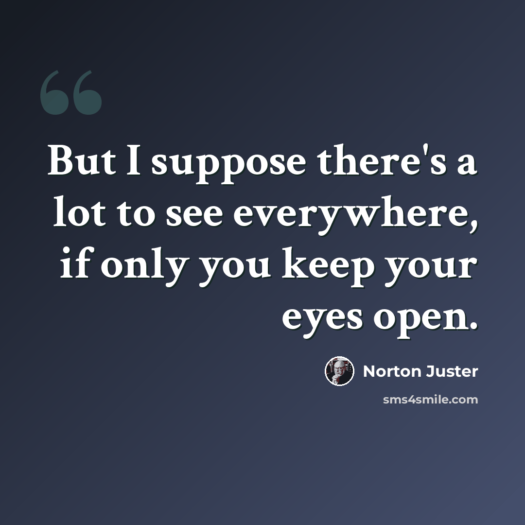 “But I suppose there's a lot to see everywhere, if only you keep your eyes open.” quote by Norton Juster