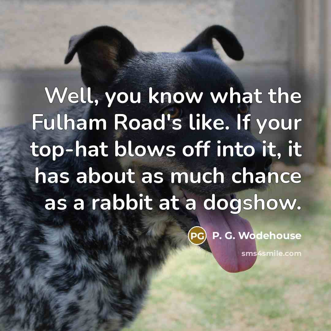 “Well, you know what the Fulham Road's like. If your top-hat blows off into it, it has about as much chance as a rabbit at a dogshow.” quote by P. G. Wodehouse