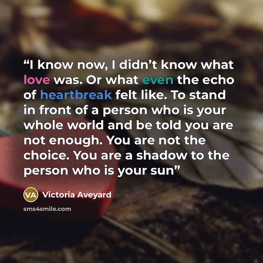 “I know now, I didn’t know what love was. Or what even the echo of heartbreak felt like. To stand in front of a person who is your whole world and be told you are not enough. You are not the choice. You are a shadow to the person who is your sun” quote by Victoria Aveyard