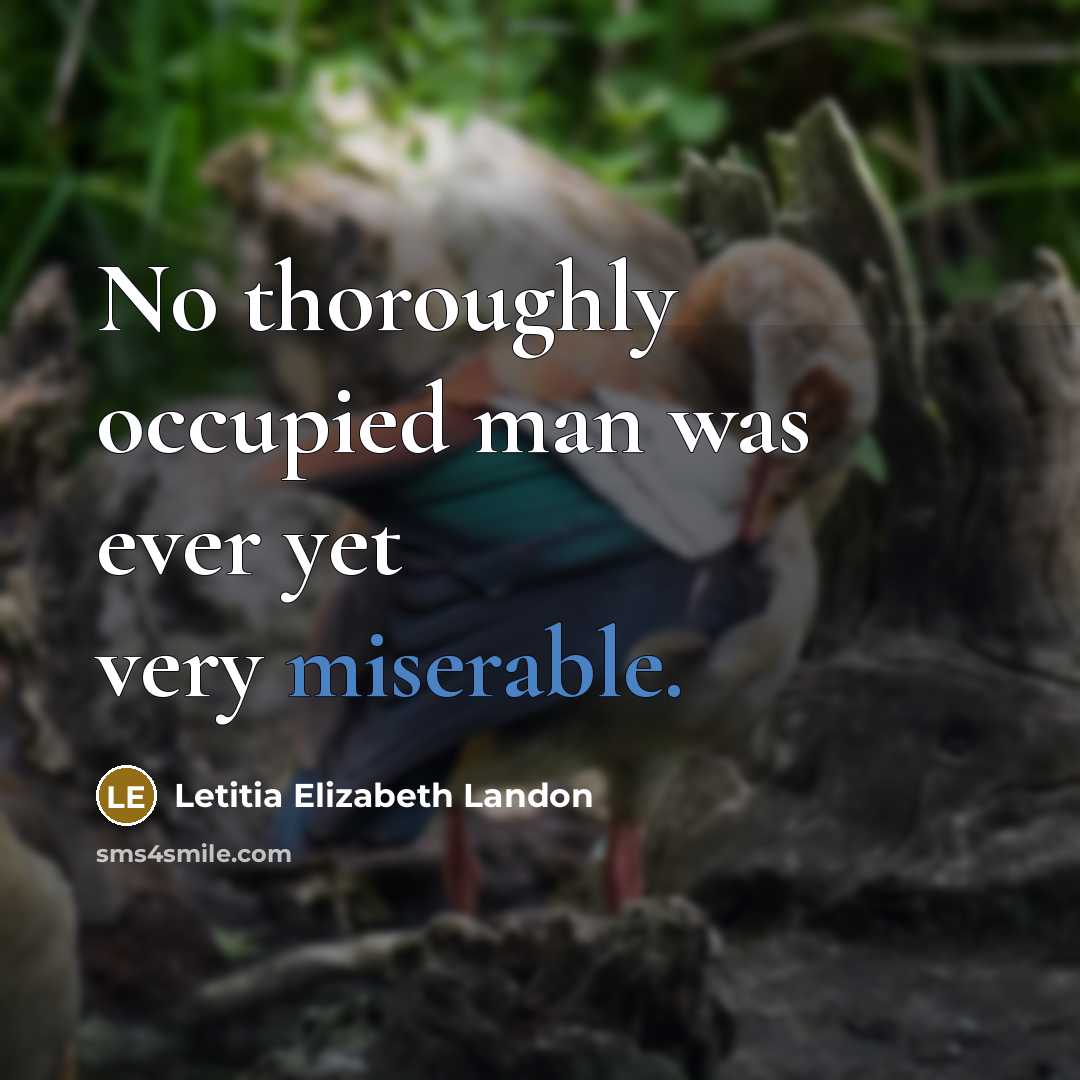 “No thoroughly occupied man was ever yet very miserable.” quote by Letitia Elizabeth Landon