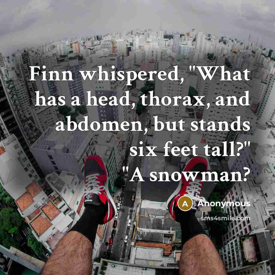 “Finn whispered, "What has a head, thorax, and abdomen, but stands six feet tall?" "A snowman?” quote by Anonymous