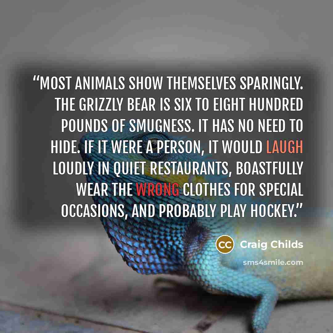 “Most animals show themselves sparingly. The grizzly bear is six to eight hundred pounds of smugness. It has no need to hide. If it were a person, it would laugh loudly in quiet restaurants, boastfully wear the wrong clothes for special occasions, and probably play hockey.” quote by Craig Childs