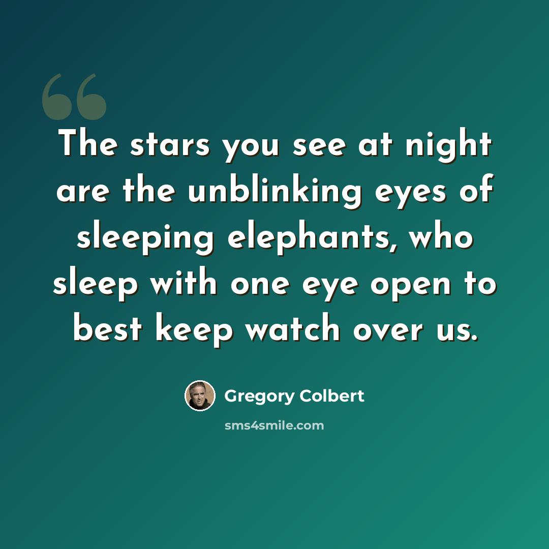 “The stars you see at night are the unblinking eyes of sleeping elephants, who sleep with one eye open to best keep watch over us.” quote by Gregory Colbert