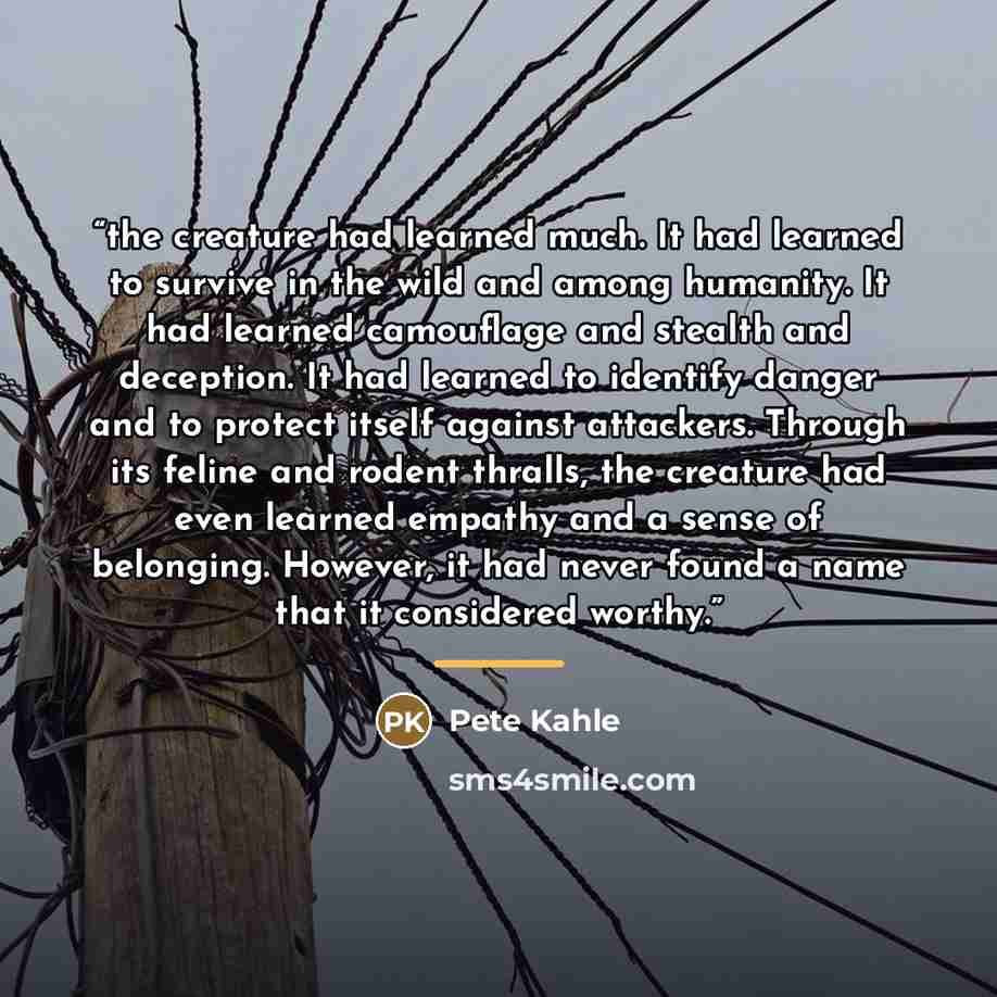 “the creature had learned much. It had learned to survive in the wild and among humanity. It had learned camouflage and stealth and deception. It had learned to identify danger and to protect itself against attackers. Through its feline and rodent thralls, the creature had even learned empathy and…” quote by Pete Kahle