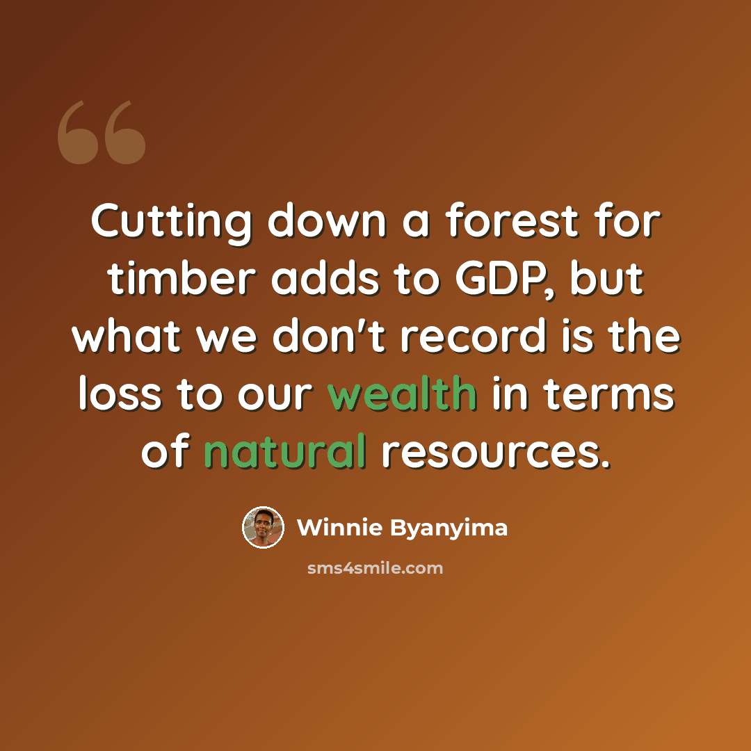 “Cutting down a forest for timber adds to GDP, but what we don't record is the loss to our wealth in terms of natural resources.” quote by Winnie Byanyima