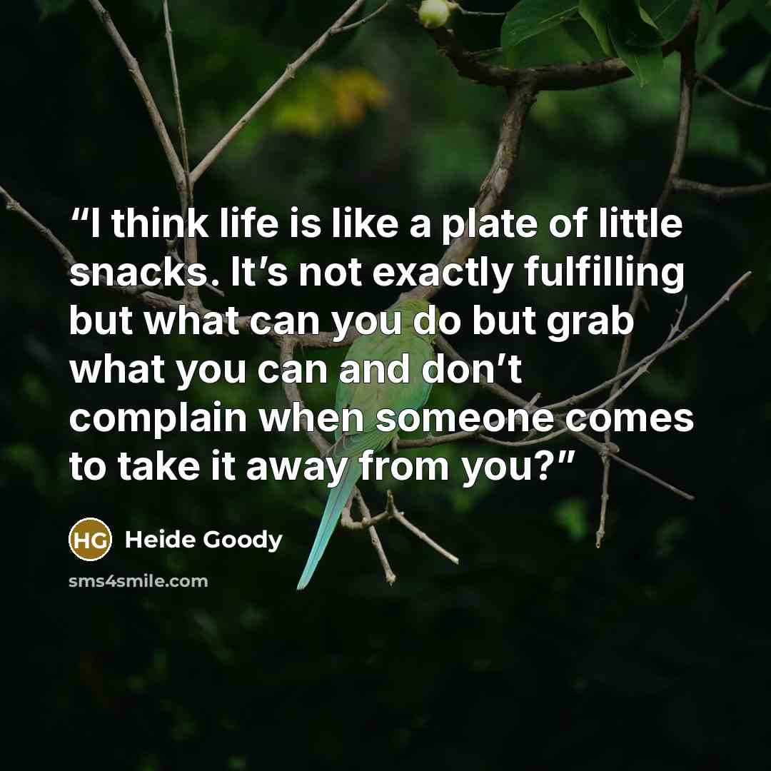 “I think life is like a plate of little snacks. It’s not exactly fulfilling but what can you do but grab what you can and don’t complain when someone comes to take it away from you?” quote by Heide Goody