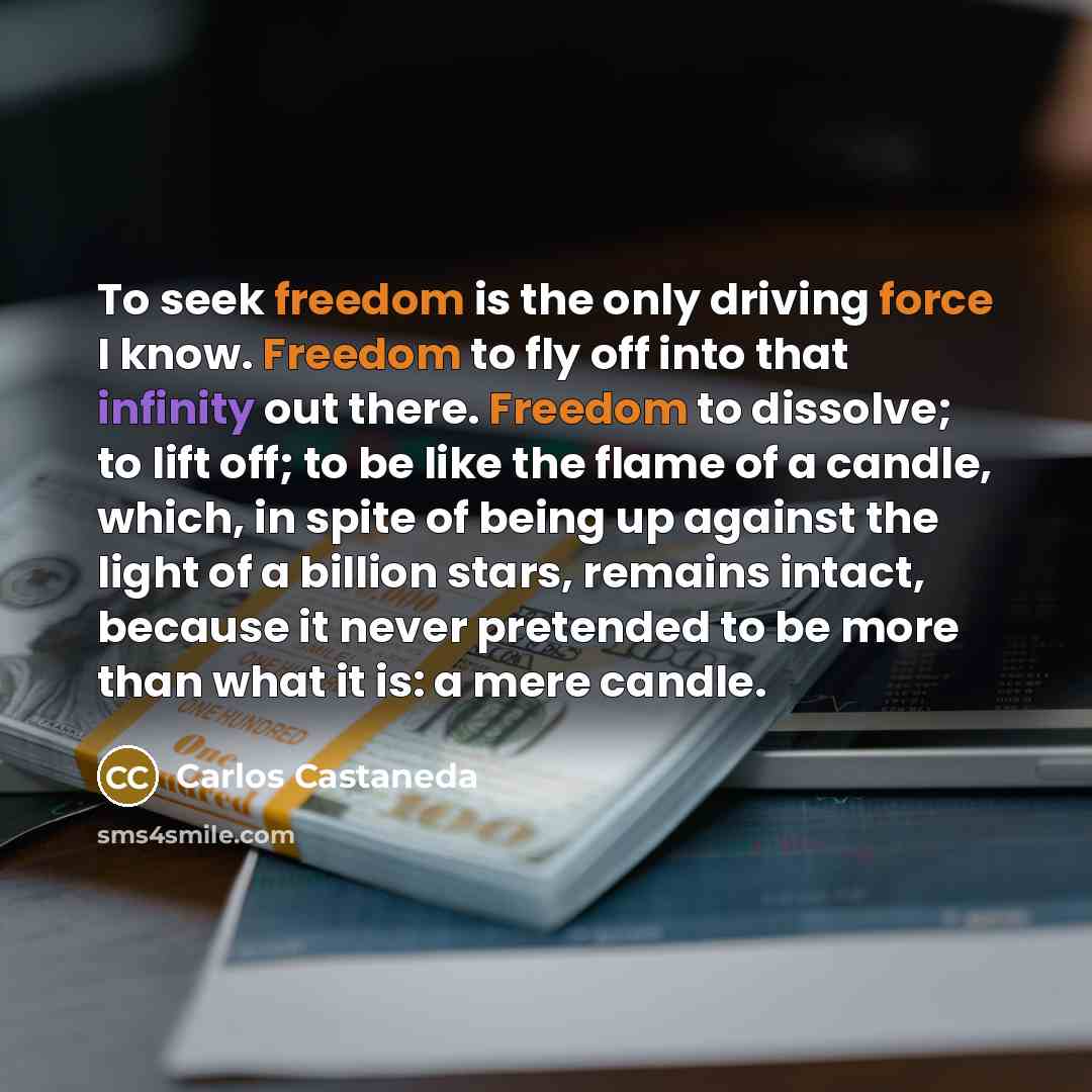 “To seek freedom is the only driving force I know. Freedom to fly off into that infinity out there. Freedom to dissolve; to lift off; to be like the flame of a candle, which, in spite of being up against the light of a billion stars, remains intact, because it never pretended to be more than what…” quote by Carlos Castaneda
