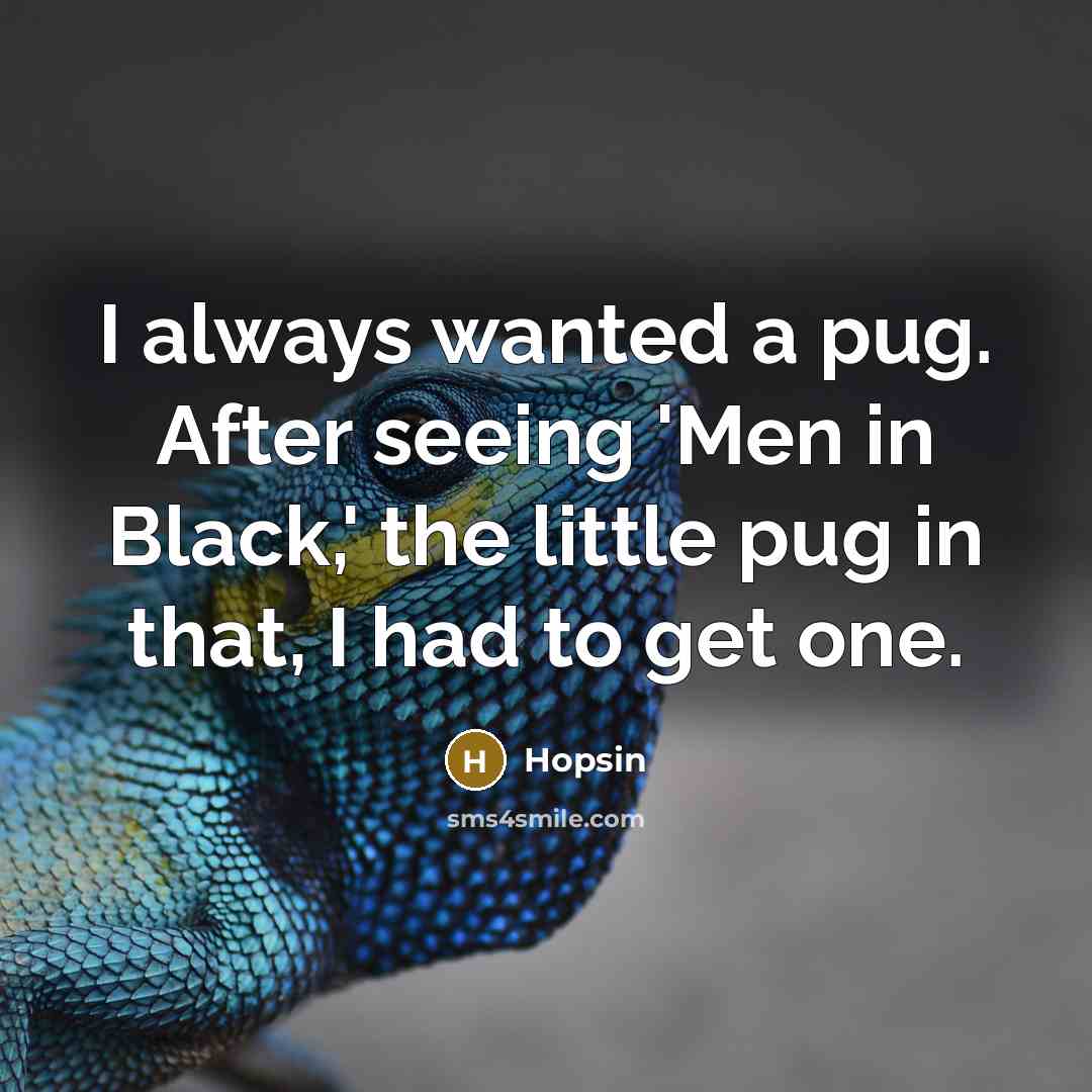 “I always wanted a pug. After seeing 'Men in Black,' the little pug in that, I had to get one.” quote by Hopsin