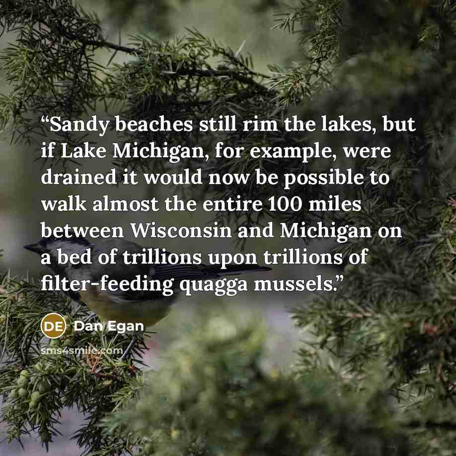 “Sandy beaches still rim the lakes, but if Lake Michigan, for example, were drained it would now be possible to walk almost the entire 100 miles between Wisconsin and Michigan on a bed of trillions upon trillions of filter-feeding quagga mussels.” quote by Dan Egan