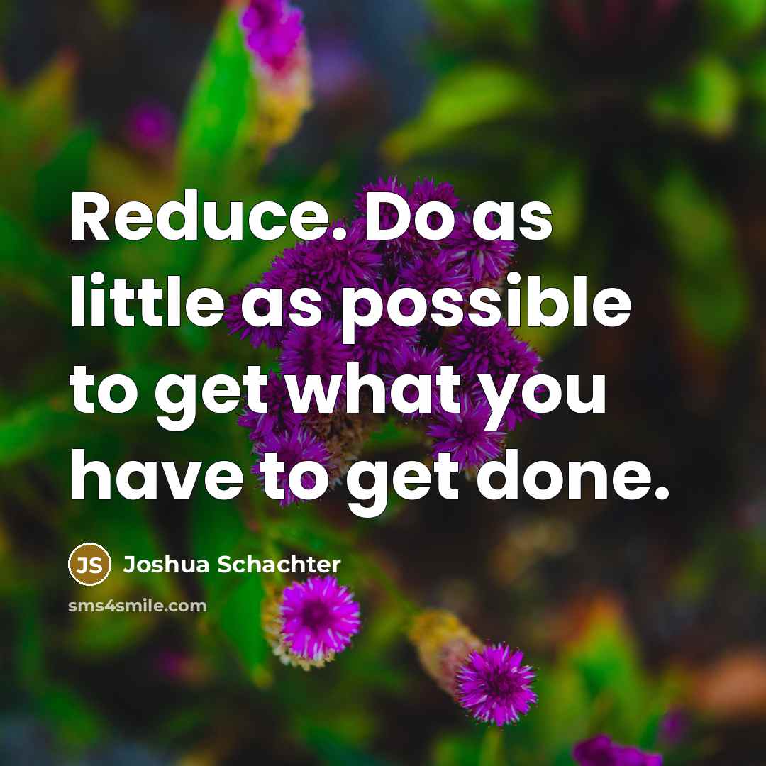 “Reduce. Do as little as possible to get what you have to get done.” quote by Joshua Schachter