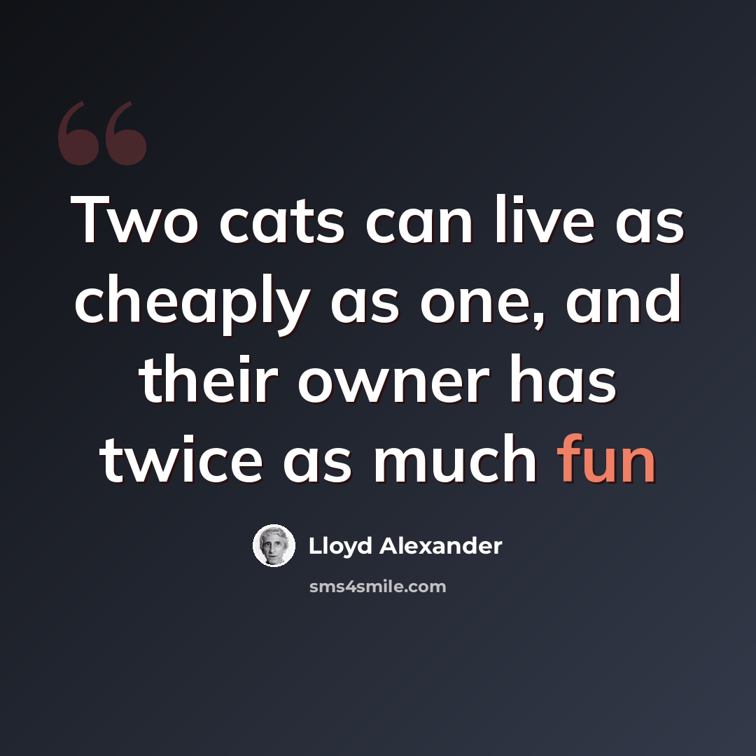 “Two cats can live as cheaply as one, and their owner has twice as much fun” quote by Lloyd Alexander