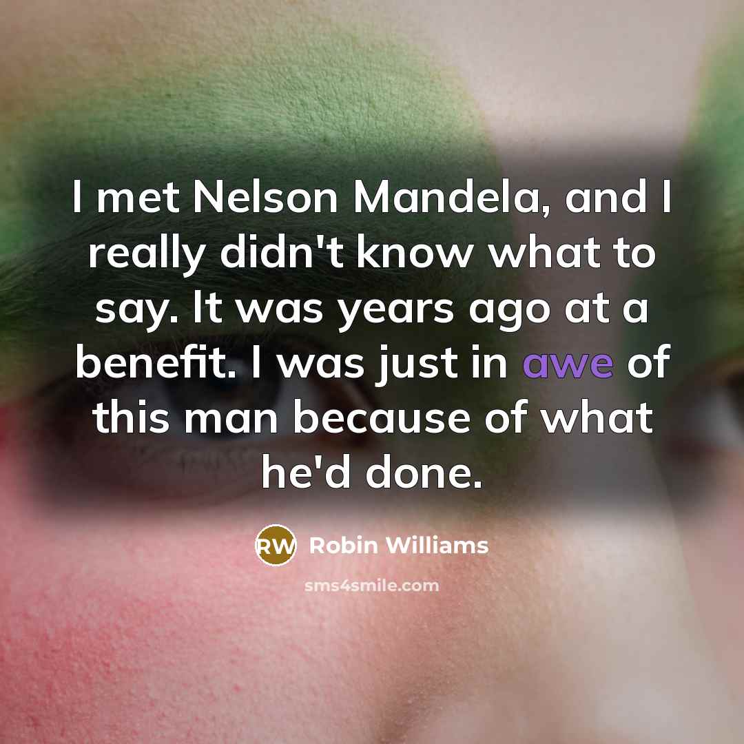 “I met Nelson Mandela, and I really didn't know what to say. It was years ago at a benefit. I was just in awe of this man because of what he'd done.” quote by Robin Williams