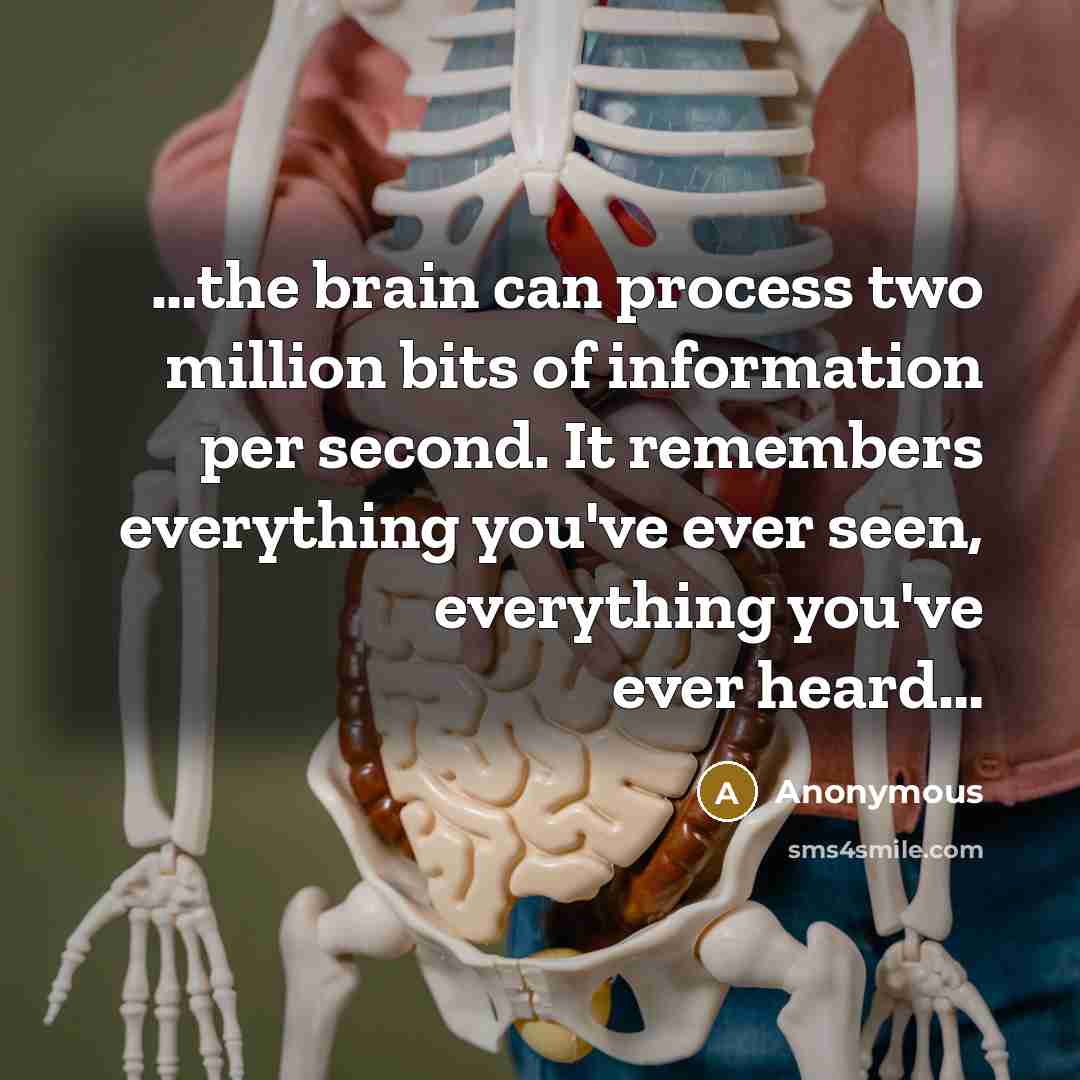 “…the brain can process two million bits of information per second. It remembers everything you've ever seen, everything you've ever heard…” quote by Anonymous
