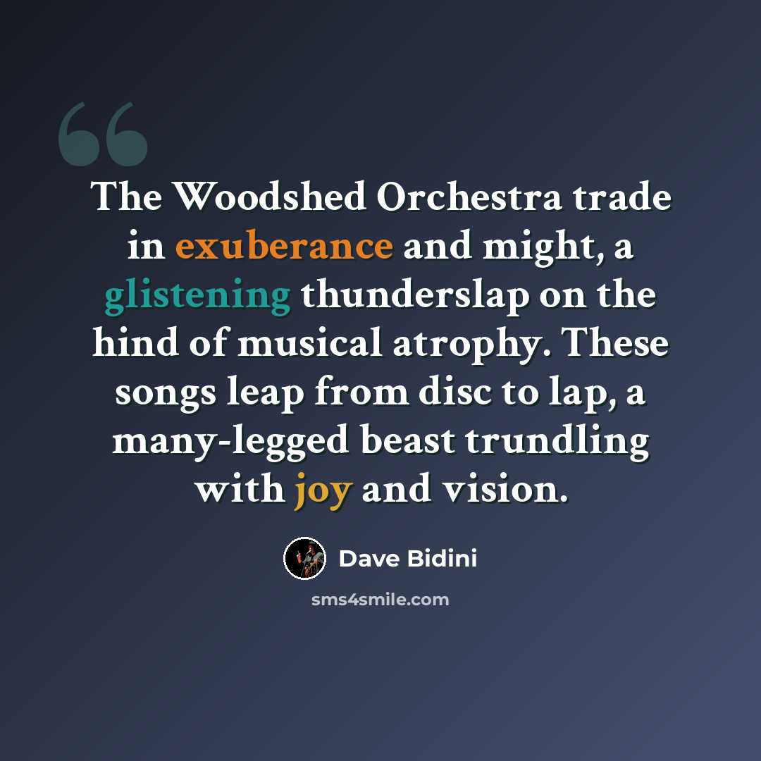“The Woodshed Orchestra trade in exuberance and might, a glistening thunderslap on the hind of musical atrophy. These songs leap from disc to lap, a many-legged beast trundling with joy and vision.” quote by Dave Bidini