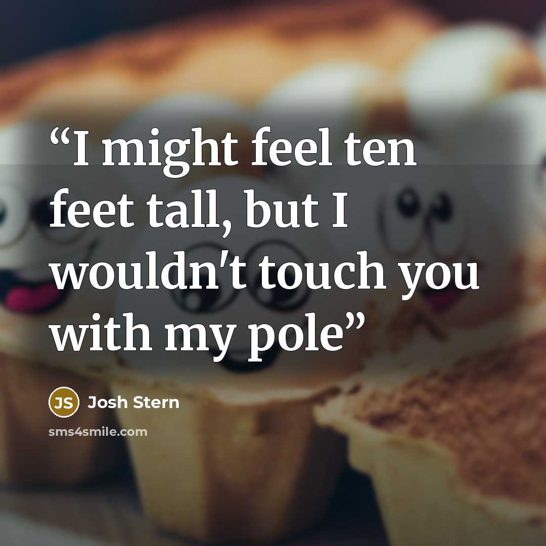 “I might feel ten feet tall, but I wouldn't touch you with my pole” quote by Josh Stern