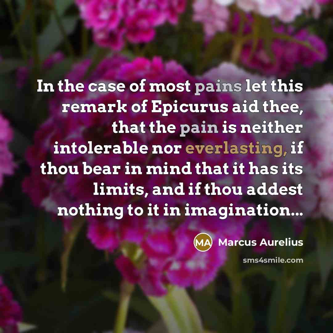 “In the case of most pains let this remark of Epicurus aid thee, that the pain is neither intolerable nor everlasting, if thou bear in mind that it has its limits, and if thou addest nothing to it in imagination...” quote by Marcus Aurelius