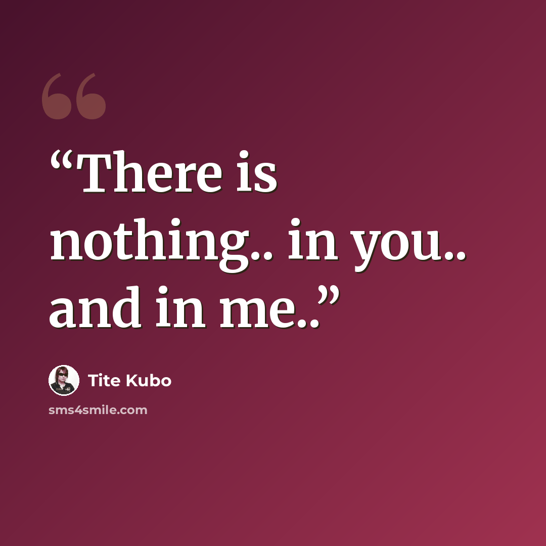 “There is nothing.. in you.. and in me..” quote by Tite Kubo