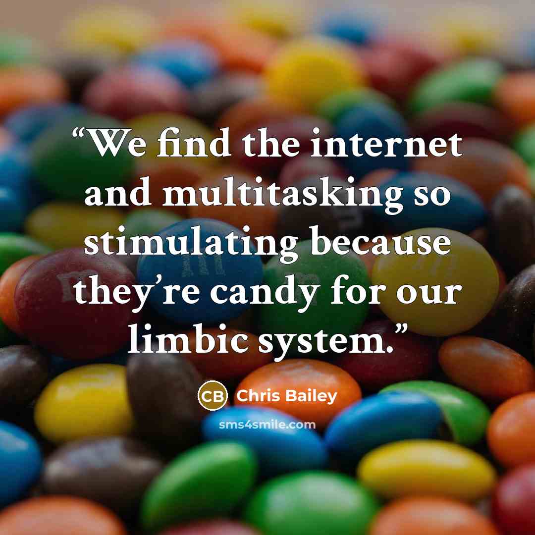 “We find the internet and multitasking so stimulating because they’re candy for our limbic system.” quote by Chris Bailey