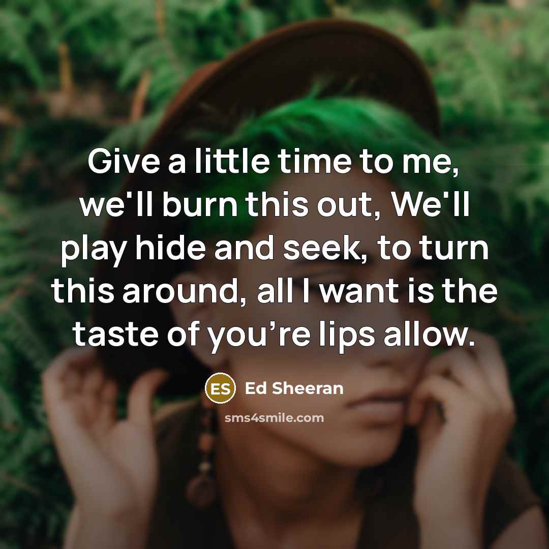 “Give a little time to me, we'll burn this out, We'll play hide and seek, to turn this around, all I want is the taste of you're lips allow.” quote by Ed Sheeran