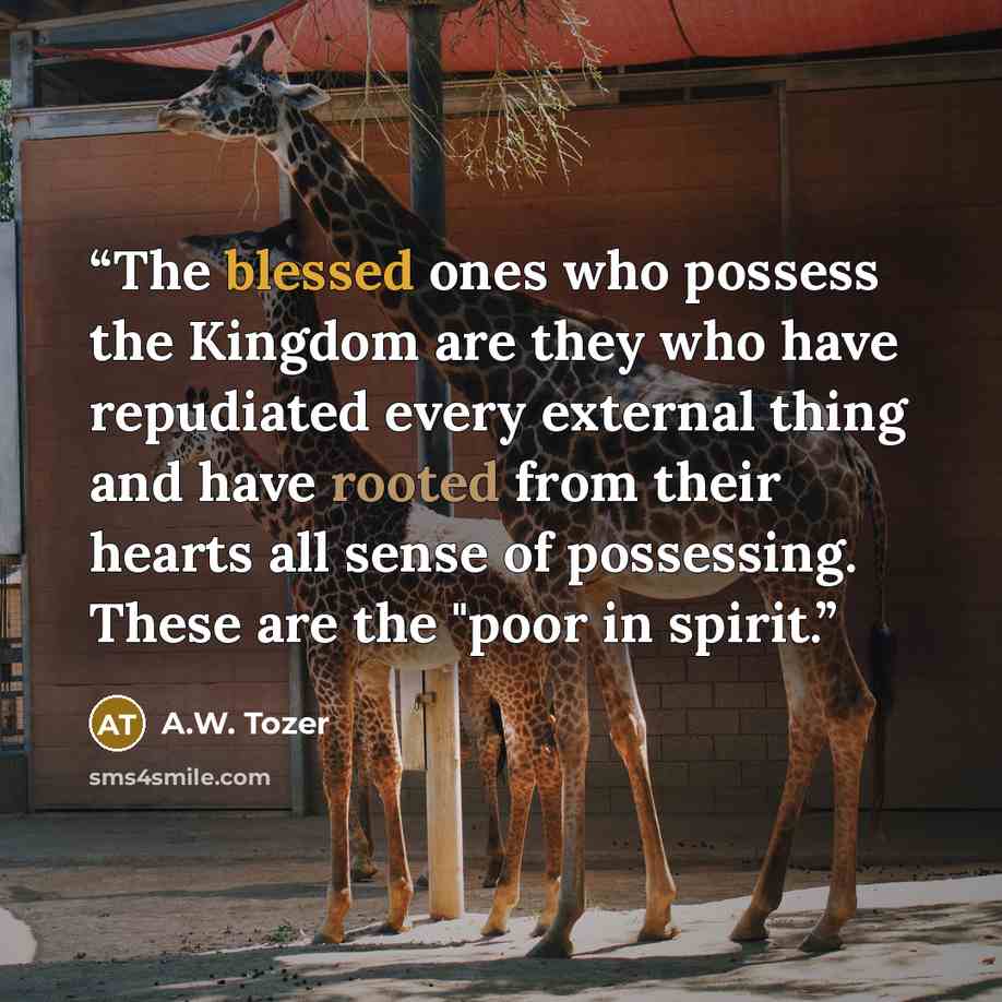 “The blessed ones who possess the Kingdom are they who have repudiated every external thing and have rooted from their hearts all sense of possessing. These are the "poor in spirit.” quote by A.W. Tozer