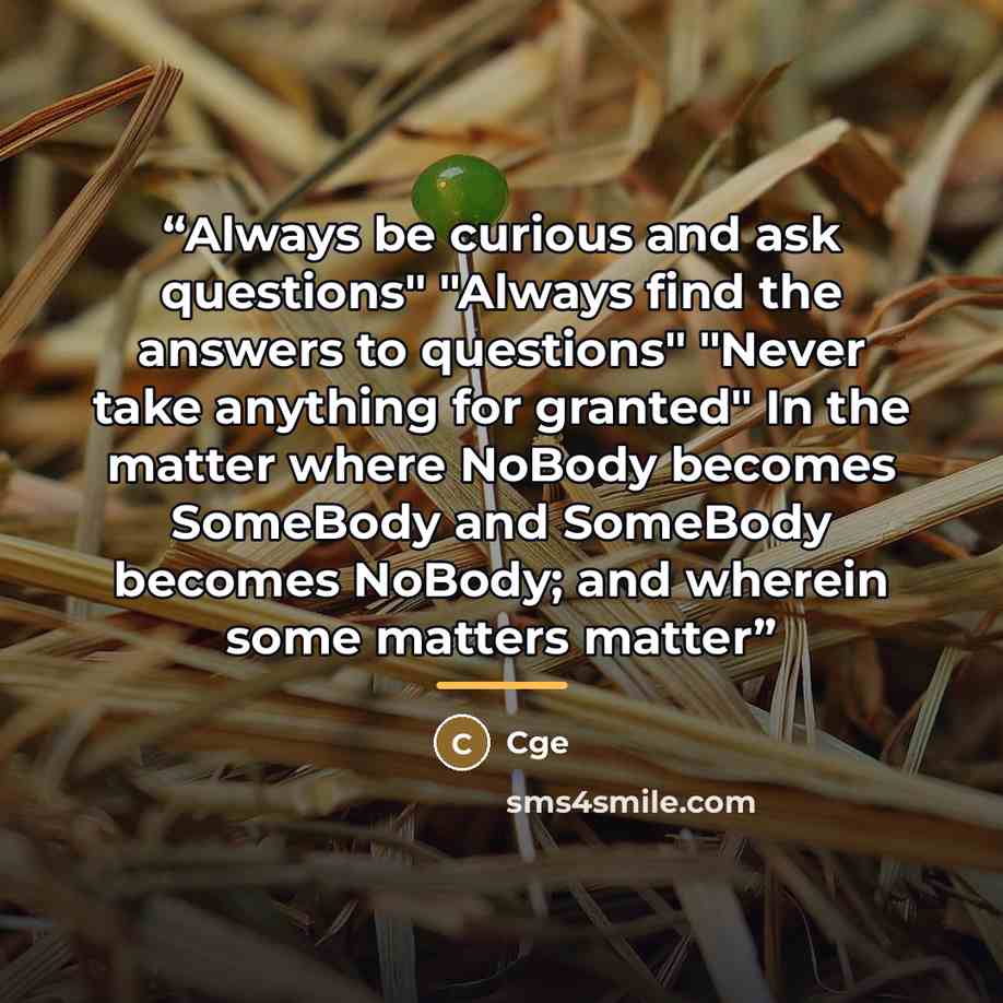 “Always be curious and ask questions" "Always find the answers to questions" "Never take anything for granted" In the matter where NoBody becomes SomeBody and SomeBody becomes NoBody; and wherein some matters matter” quote by Cge