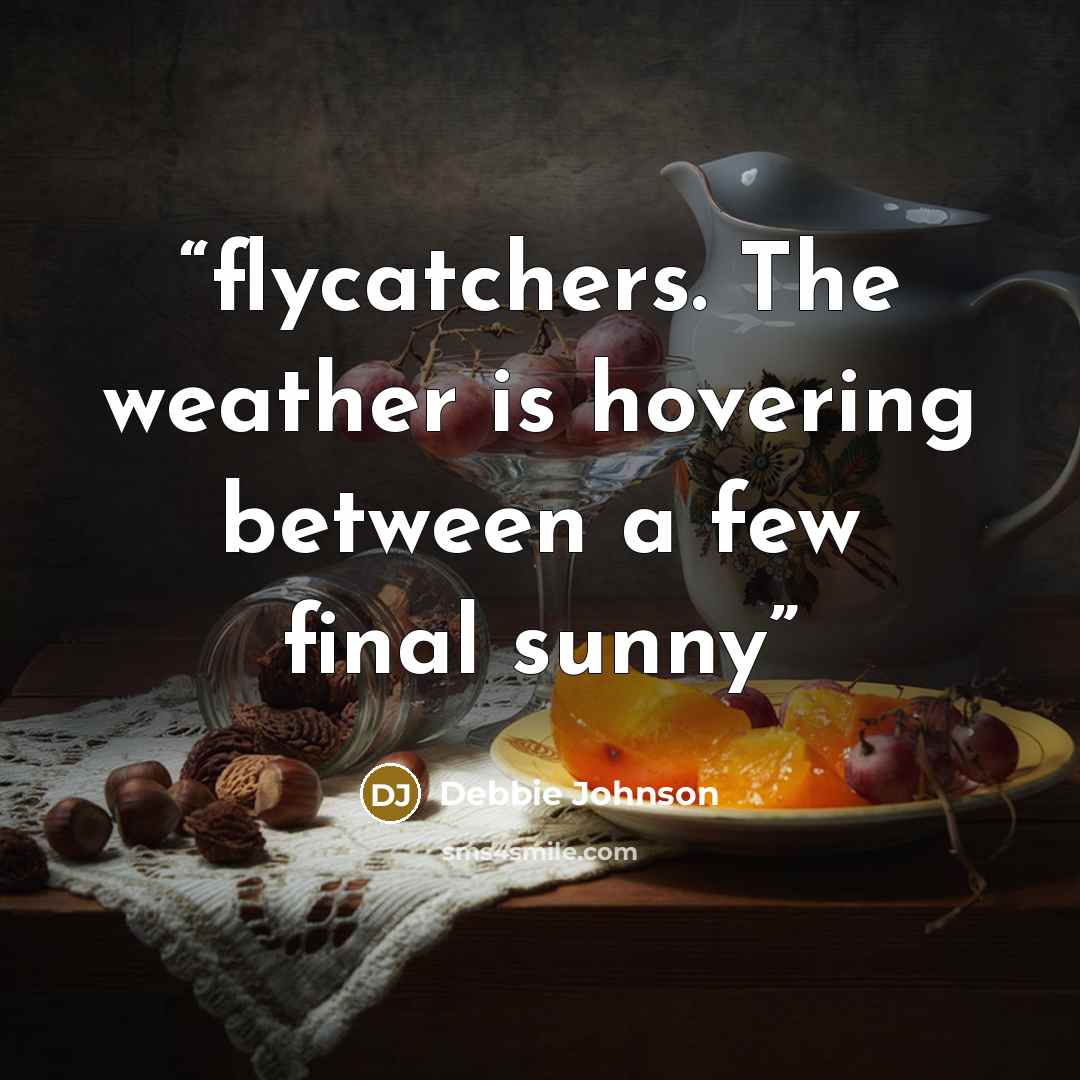 “flycatchers. The weather is hovering between a few final sunny” quote by Debbie Johnson