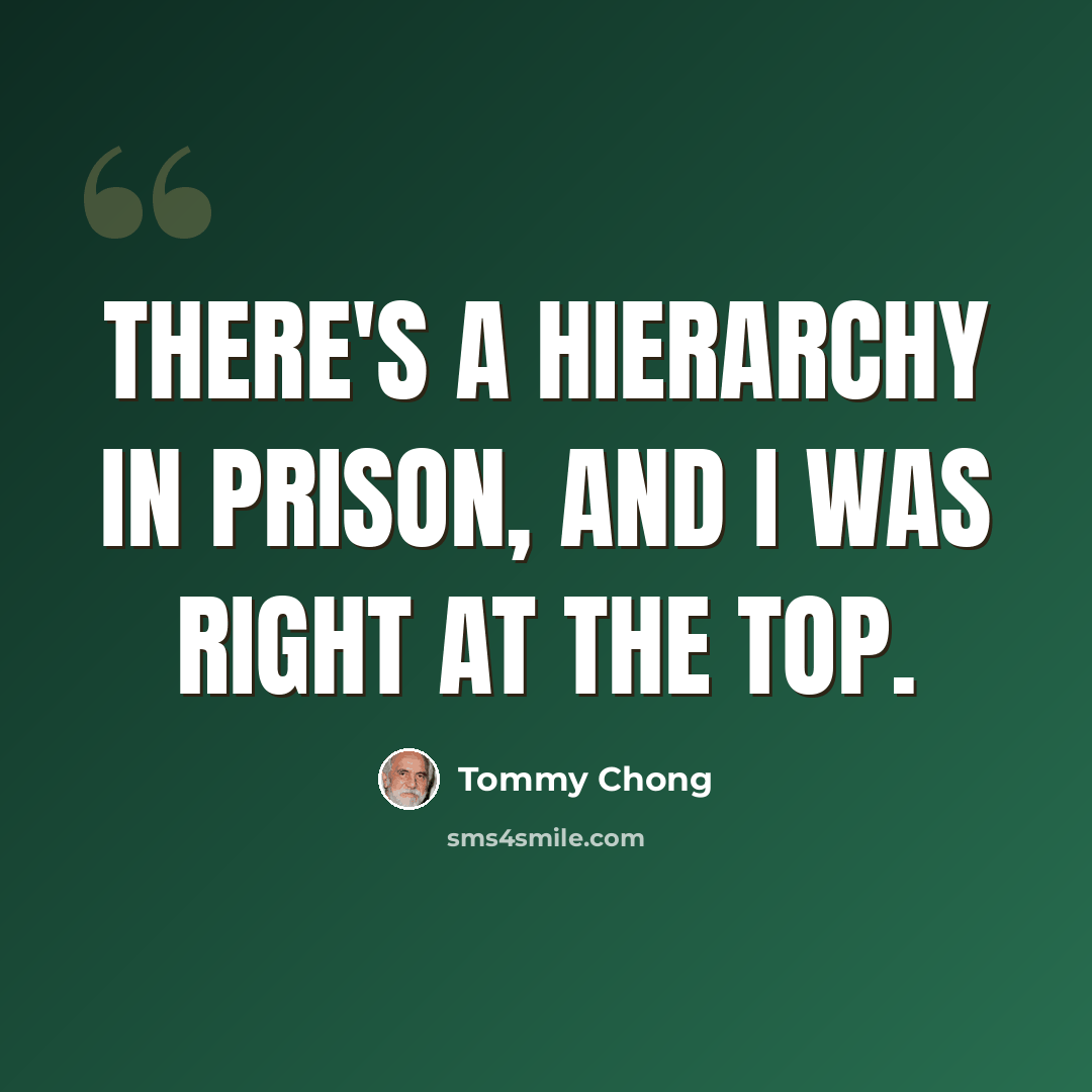 “There's a hierarchy in prison, and I was right at the top.” quote by Tommy Chong
