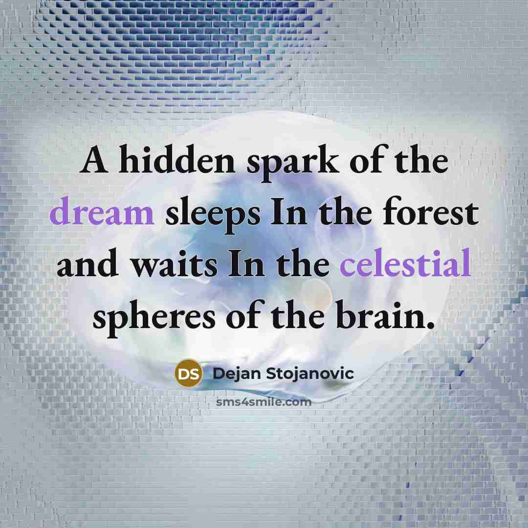“A hidden spark of the dream sleeps In the forest and waits In the celestial spheres of the brain.” quote by Dejan Stojanovic