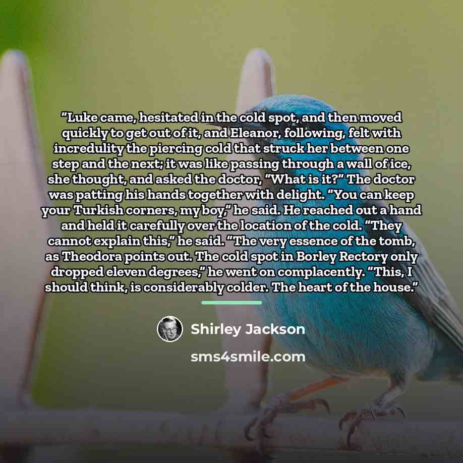 “Luke came, hesitated in the cold spot, and then moved quickly to get out of it, and Eleanor, following, felt with incredulity the piercing cold that struck her between one step and the next; it was like passing through a wall of ice, she thought, and asked the doctor, “What is it?” The doctor was…” quote by Shirley Jackson