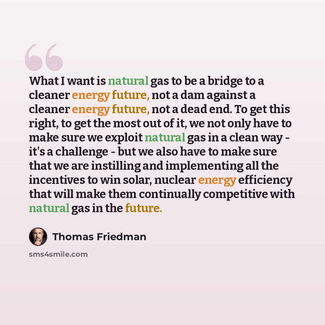“What I want is natural gas to be a bridge to a cleaner energy future, not a dam against a cleaner energy future, not a dead end. To get this right, to get the most out of it, we not only have to make sure we exploit natural gas in a clean way - it's a challenge - but we also have to make sure that…” quote by Thomas Friedman