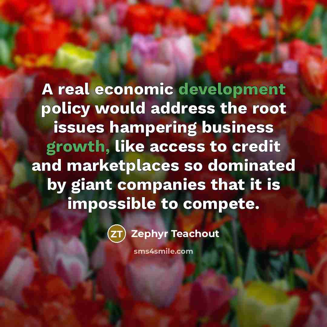 “A real economic development policy would address the root issues hampering business growth, like access to credit and marketplaces so dominated by giant companies that it is impossible to compete.” quote by Zephyr Teachout