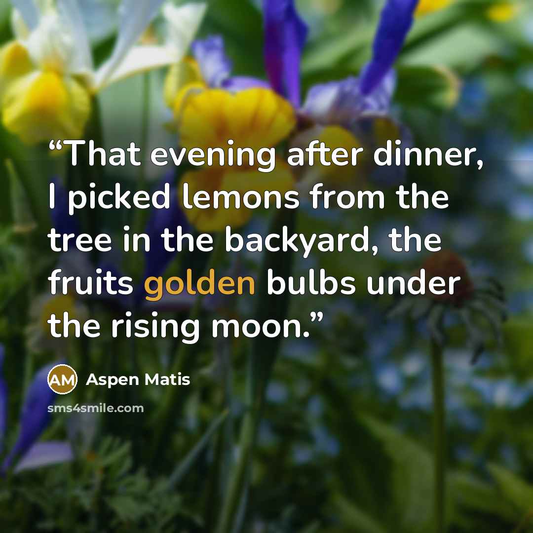 “That evening after dinner, I picked lemons from the tree in the backyard, the fruits golden bulbs under the rising moon.” quote by Aspen Matis