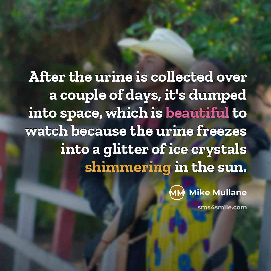 “After the urine is collected over a couple of days, it's dumped into space, which is beautiful to watch because the urine freezes into a glitter of ice crystals shimmering in the sun.” quote by Mike Mullane