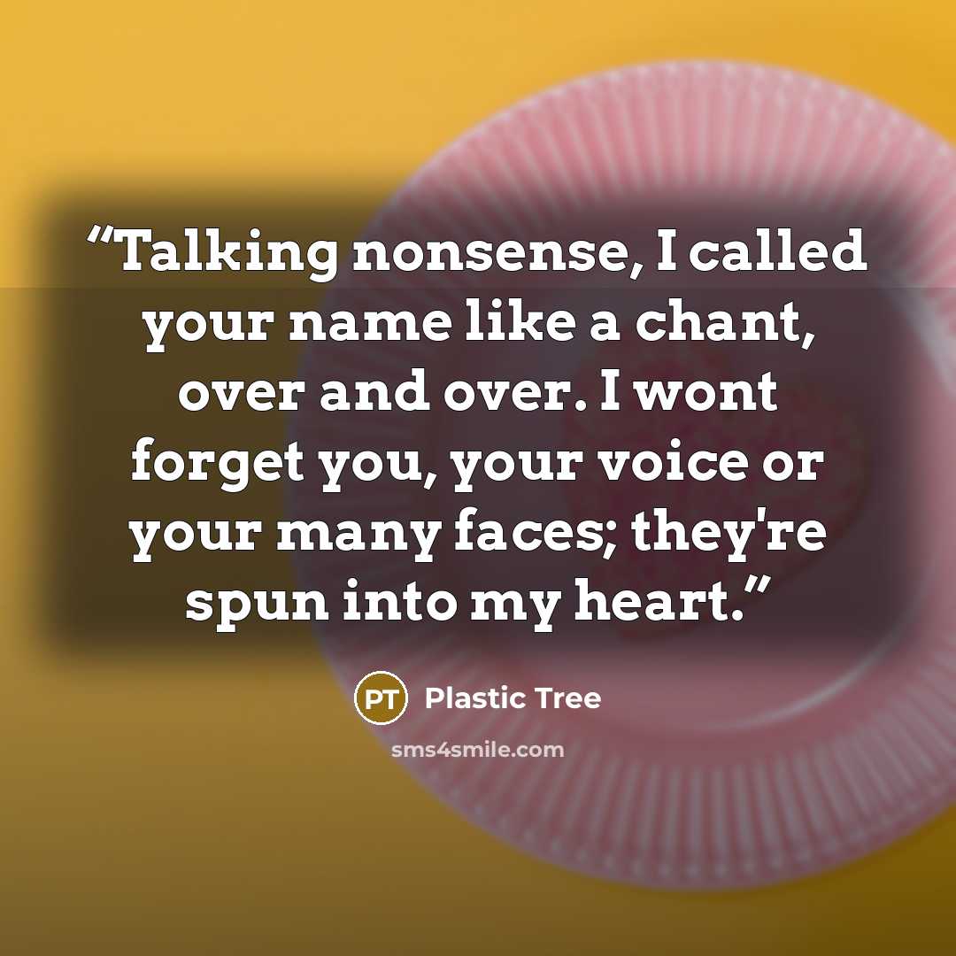 “Talking nonsense, I called your name like a chant, over and over. I wont forget you, your voice or your many faces; they're spun into my heart.” quote by Plastic Tree