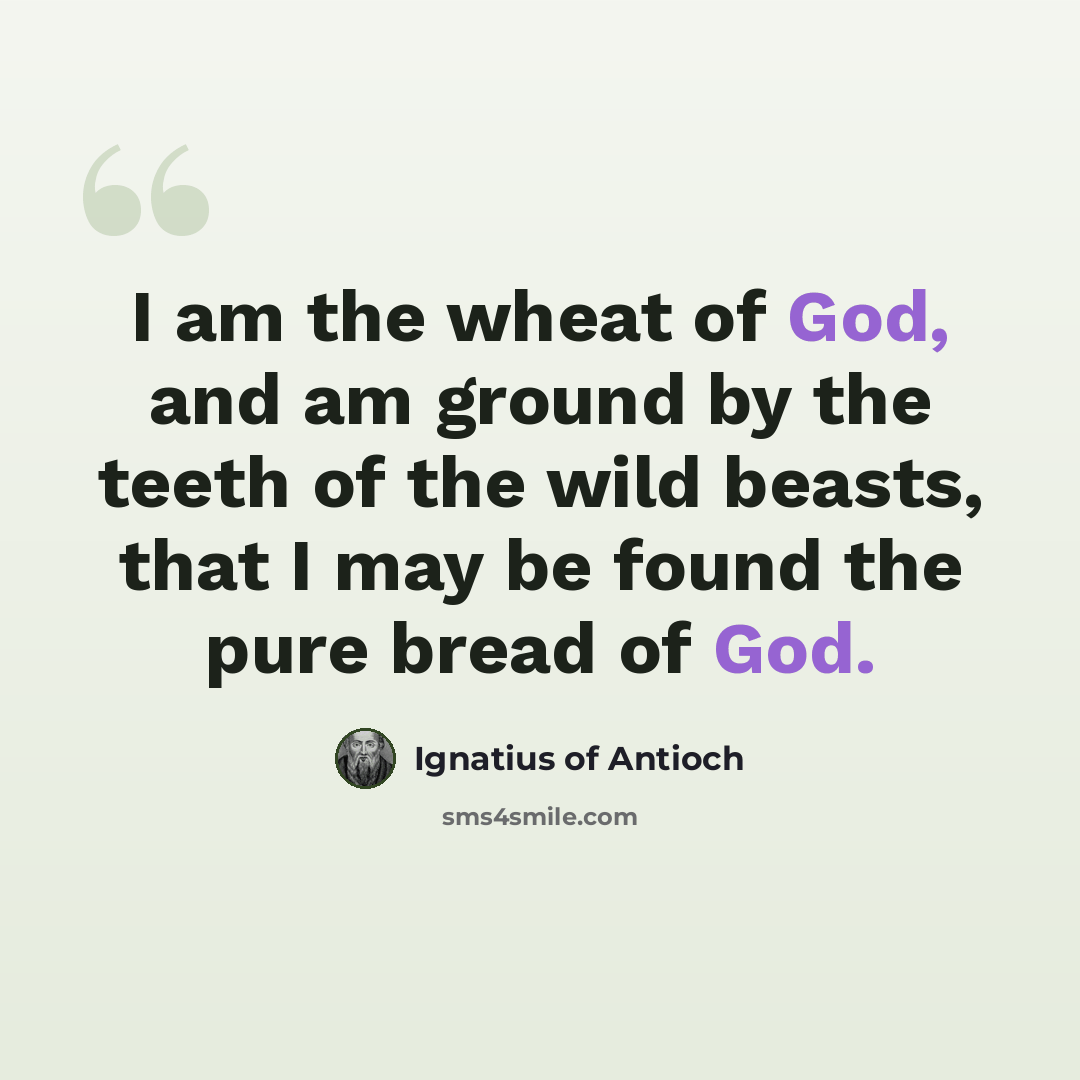 “I am the wheat of God, and am ground by the teeth of the wild beasts, that I may be found the pure bread of God.” quote by Ignatius of Antioch