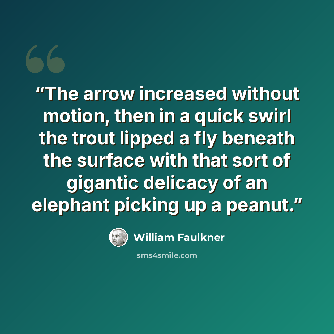 “The arrow increased without motion, then in a quick swirl the trout lipped a fly beneath the surface with that sort of gigantic delicacy of an elephant picking up a peanut.” quote by William Faulkner