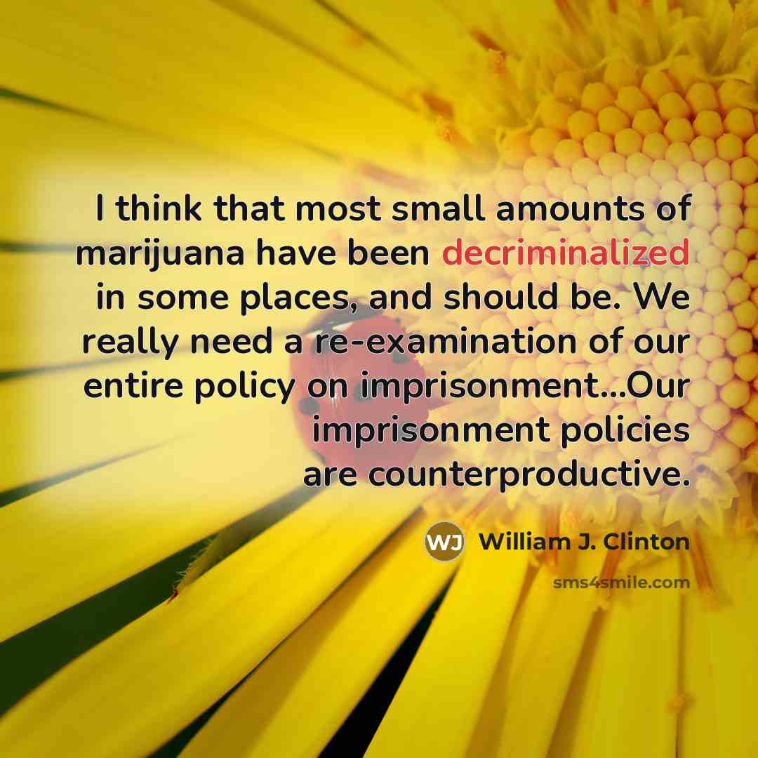 “I think that most small amounts of marijuana have been decriminalized in some places, and should be. We really need a re-examination of our entire policy on imprisonment...Our imprisonment policies are counterproductive.” quote by William J. Clinton
