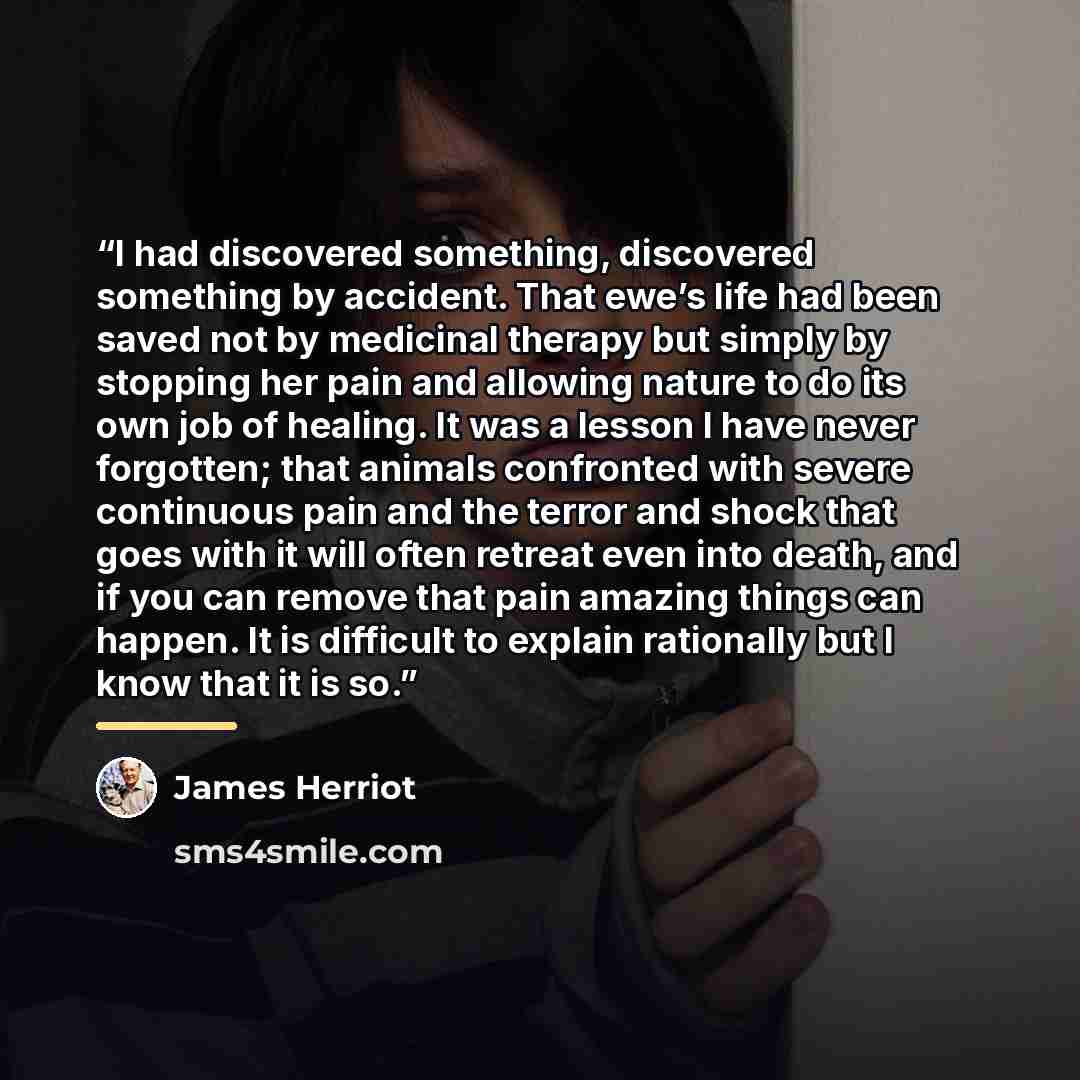 “I had discovered something, discovered something by accident. That ewe’s life had been saved not by medicinal therapy but simply by stopping her pain and allowing nature to do its own job of healing. It was a lesson I have never forgotten; that animals confronted with severe continuous pain and…” quote by James Herriot
