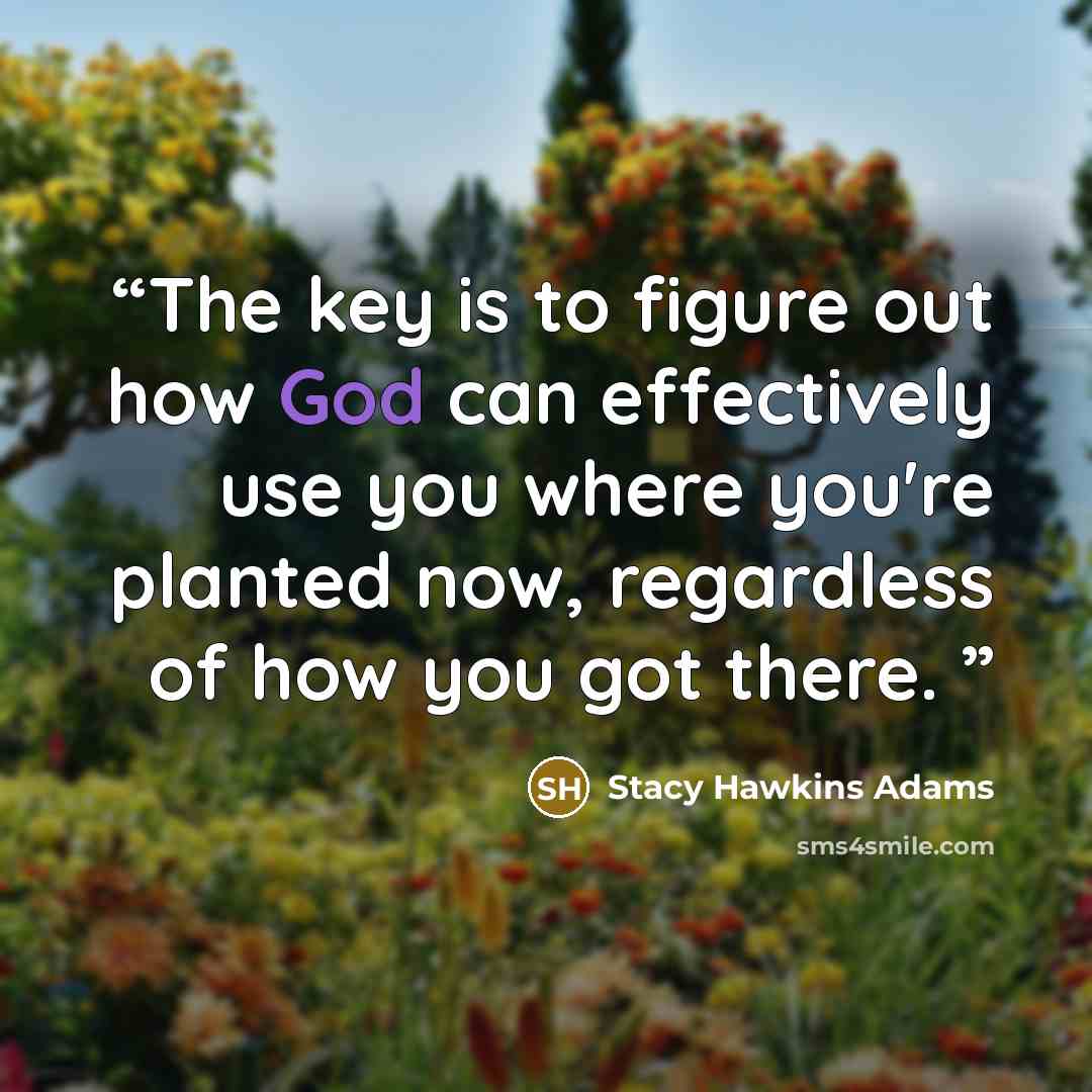 “The key is to figure out how God can effectively use you where you're planted now, regardless of how you got there.” quote by Stacy Hawkins Adams