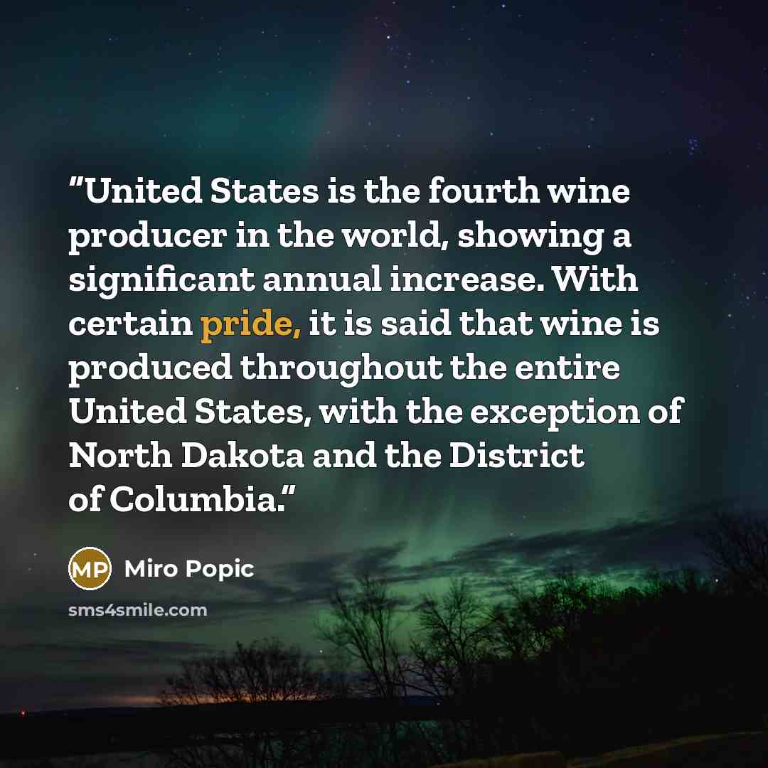 “United States is the fourth wine producer in the world, showing a significant annual increase. With certain pride, it is said that wine is produced throughout the entire United States, with the exception of North Dakota and the District of Columbia.” quote by Miro Popic