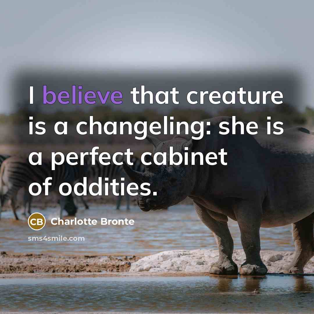 “I believe that creature is a changeling: she is a perfect cabinet of oddities.” quote by Charlotte Bronte