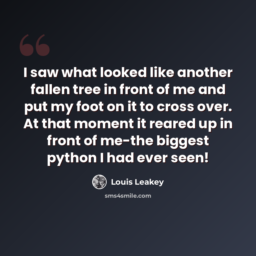 “I saw what looked like another fallen tree in front of me and put my foot on it to cross over. At that moment it reared up in front of me-the biggest python I had ever seen!” quote by Louis Leakey