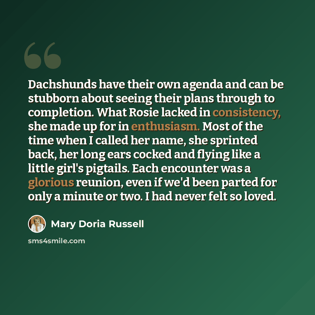 “Dachshunds have their own agenda and can be stubborn about seeing their plans through to completion. What Rosie lacked in consistency, she made up for in enthusiasm. Most of the time when I called her name, she sprinted back, her long ears cocked and flying like a little girl's pigtails. Each…” quote by Mary Doria Russell