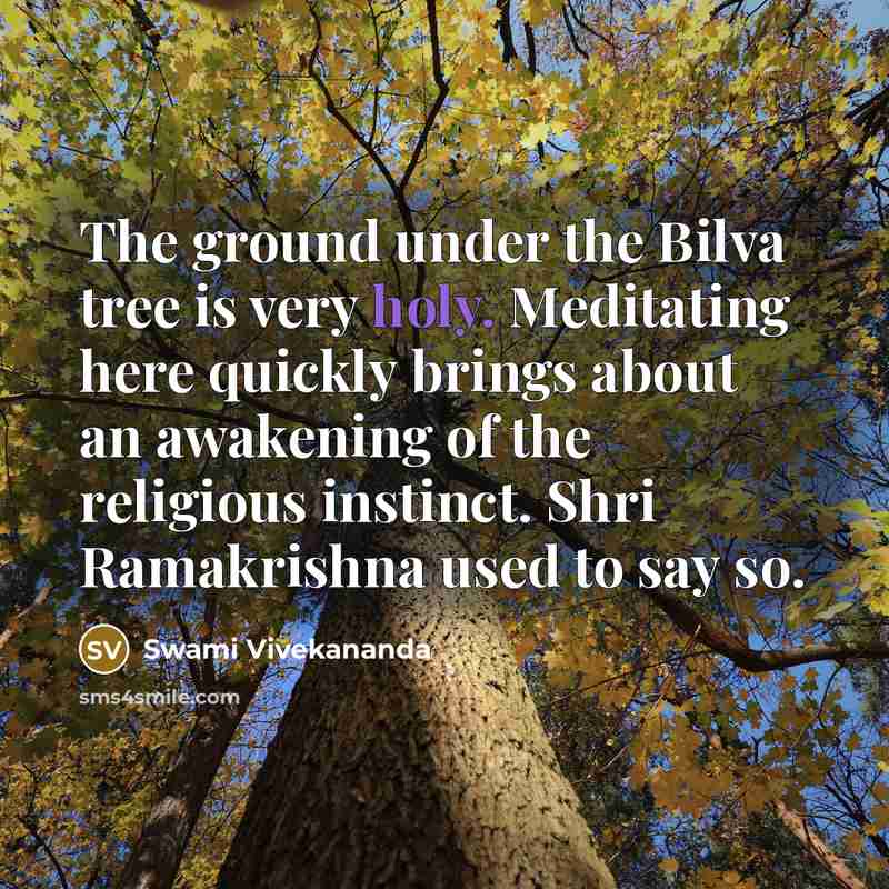 “The ground under the Bilva tree is very holy. Meditating here quickly brings about an awakening of the religious instinct. Shri Ramakrishna used to say so.” quote by Swami Vivekananda