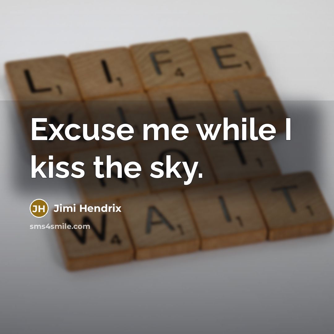 “Excuse me while I kiss the sky.” quote by Jimi Hendrix