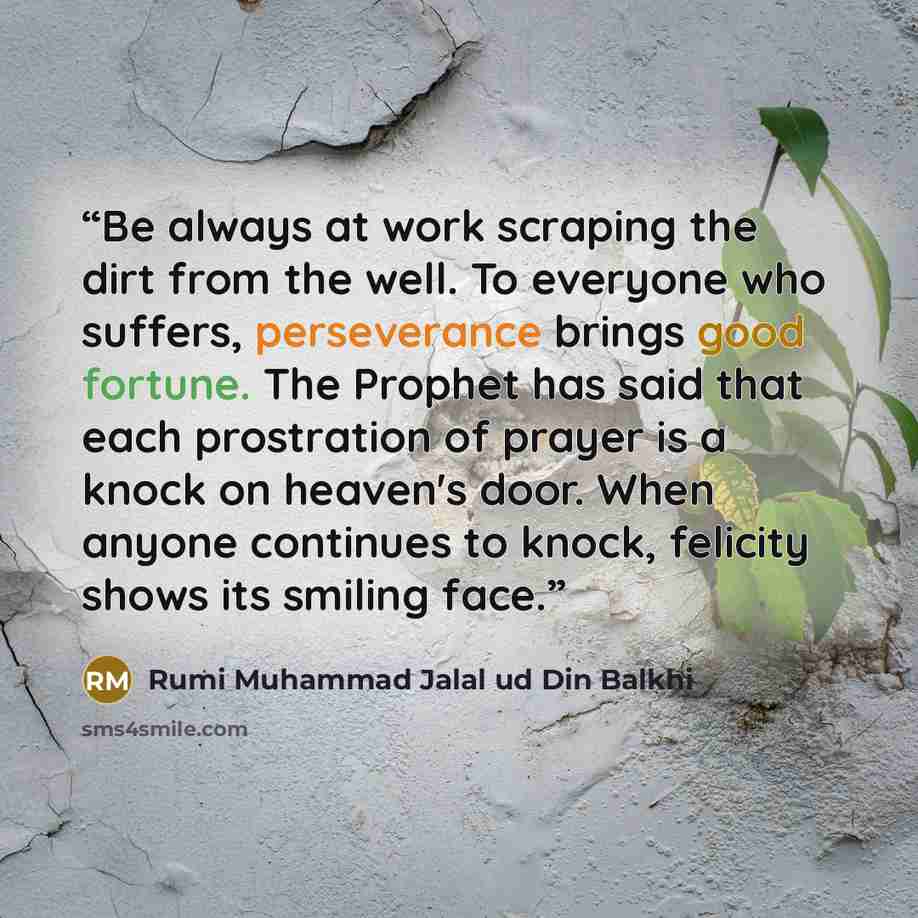 “Be always at work scraping the dirt from the well. To everyone who suffers, perseverance brings good fortune. The Prophet has said that each prostration of prayer is a knock on heaven's door. When anyone continues to knock, felicity shows its smiling face.” quote by Rumi Muhammad Jalal ud Din Balkhi