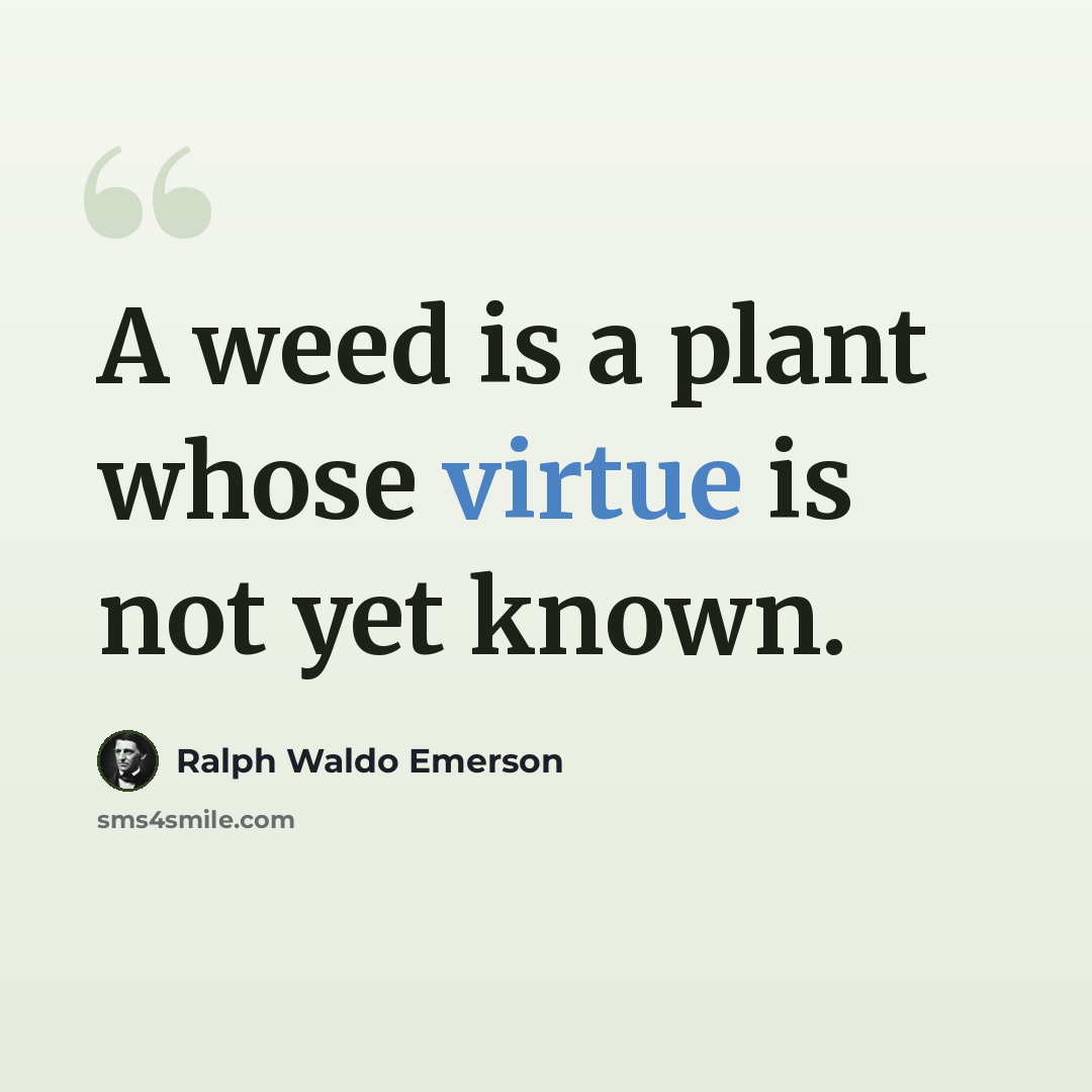 “A weed is a plant whose virtue is not yet known.” quote by Ralph Waldo Emerson