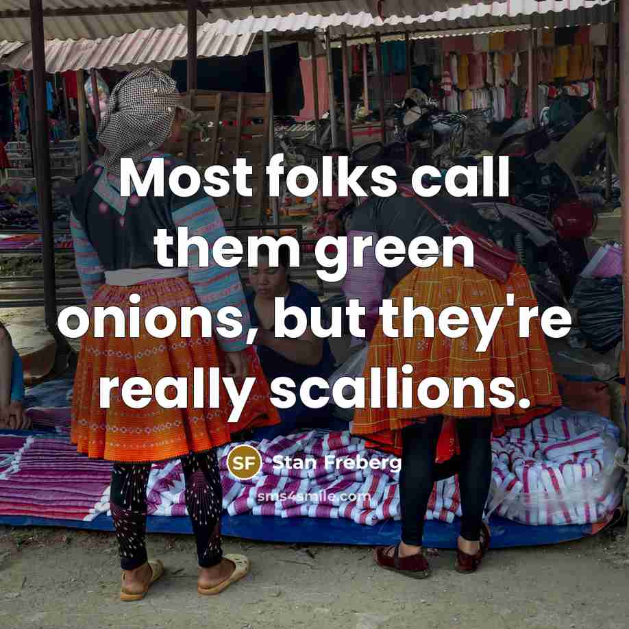 “Most folks call them green onions, but they're really scallions.” quote by Stan Freberg