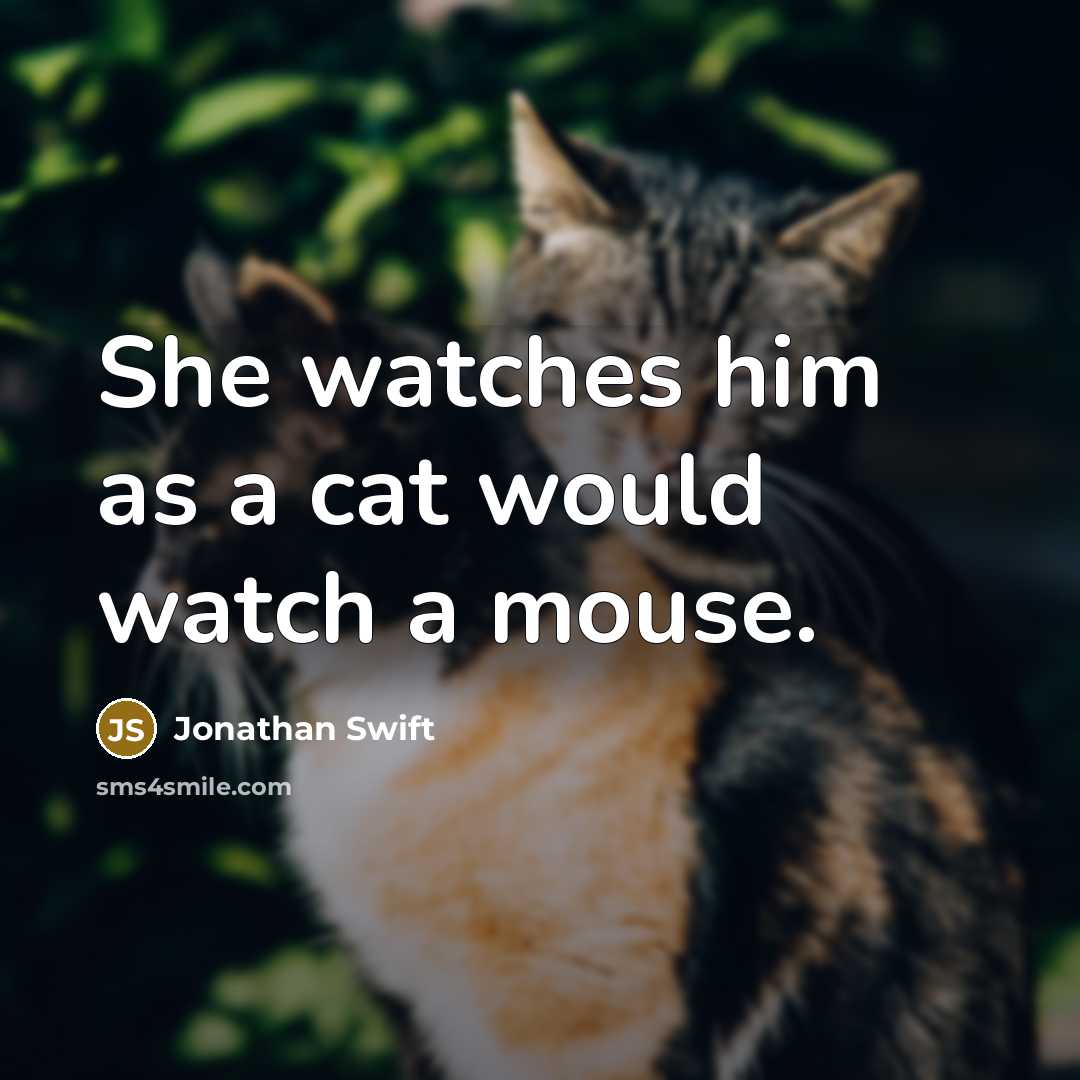 “She watches him as a cat would watch a mouse.” quote by Jonathan Swift