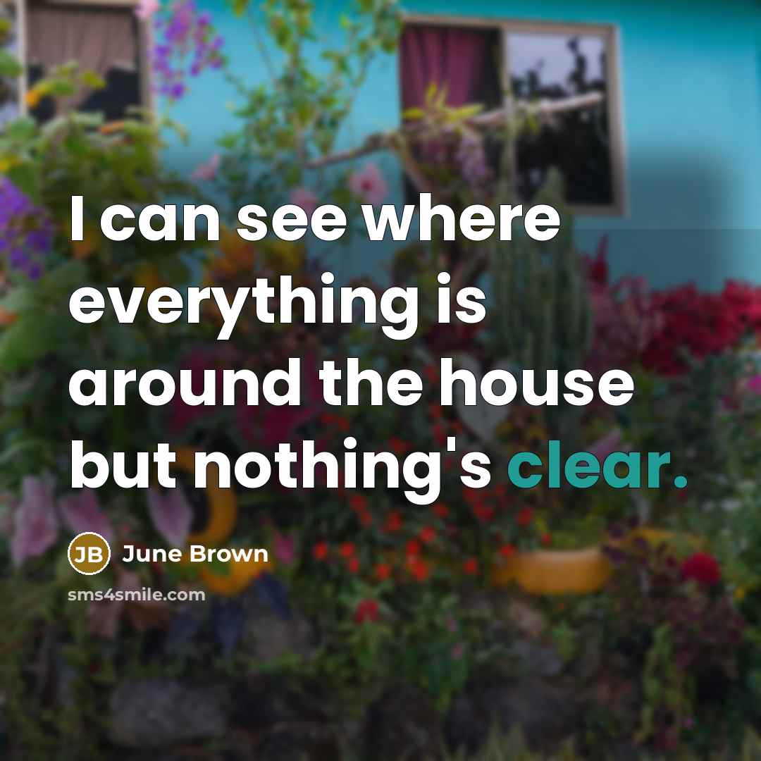 “I can see where everything is around the house but nothing's clear.” quote by June Brown